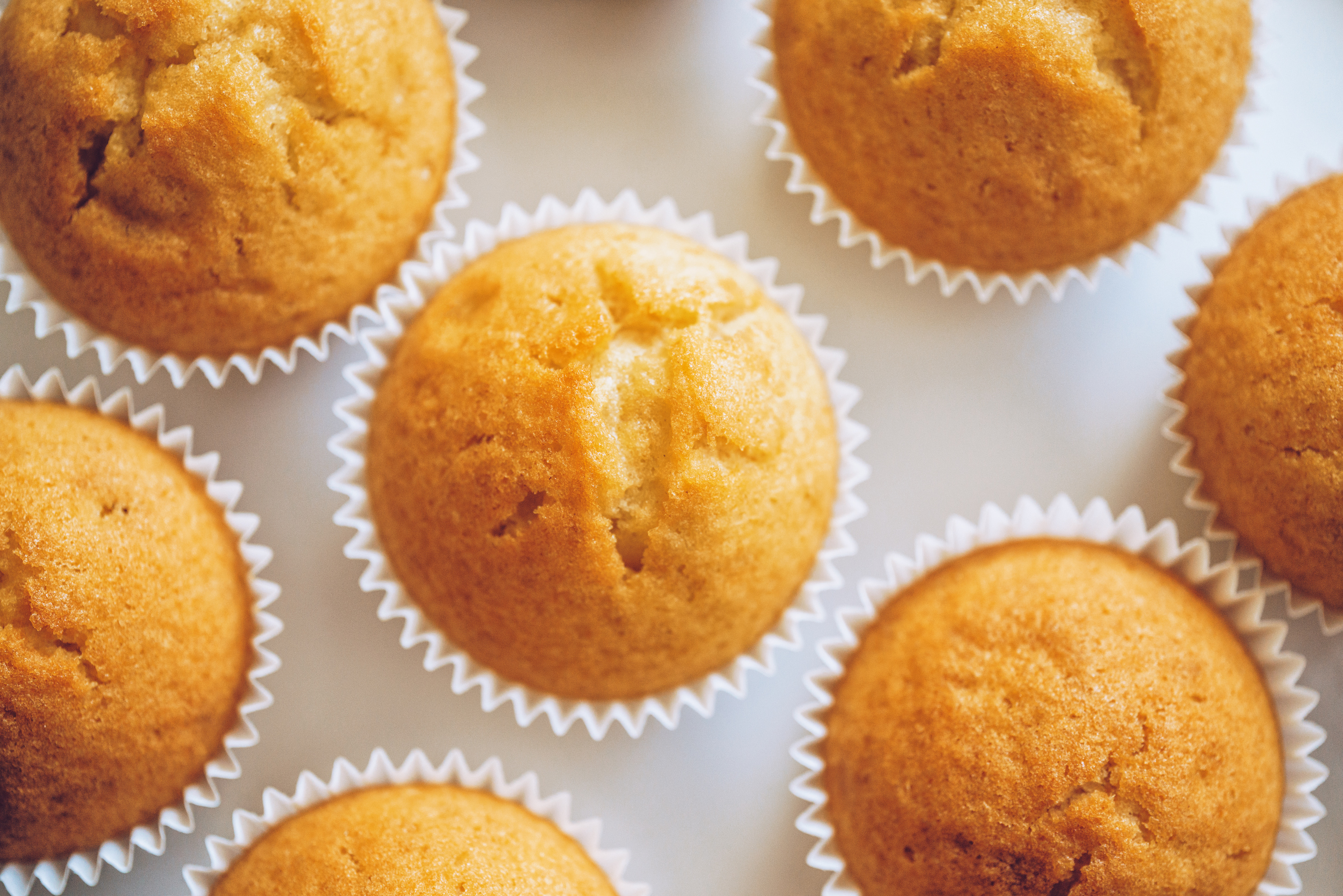 Plain cupcakes on a white plate